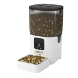 Comedouro Automático para Animais